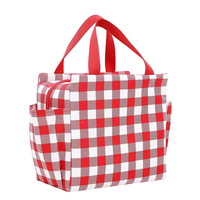Stylish Hand Carry Thermal Lunch Bag with Water Bottle Pocket