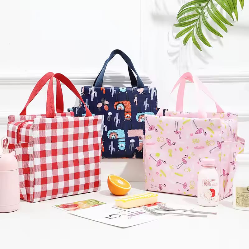 Stylish Hand Carry Thermal Lunch Bag with Water Bottle Pocket