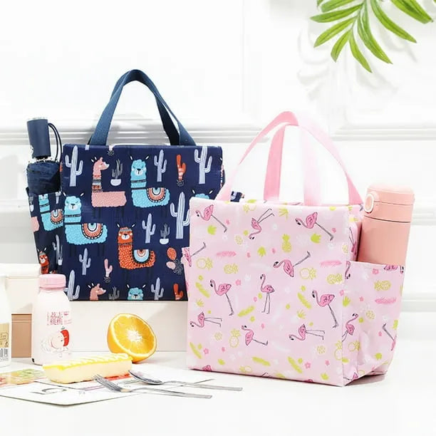 Stylish Hand Carry Thermal Lunch Bag with Water Bottle Pocket