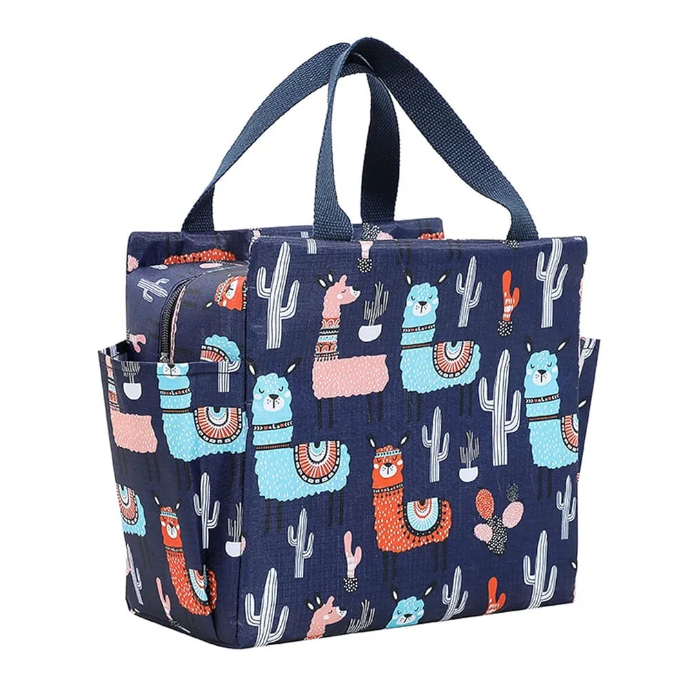 Stylish Hand Carry Thermal Lunch Bag with Water Bottle Pocket